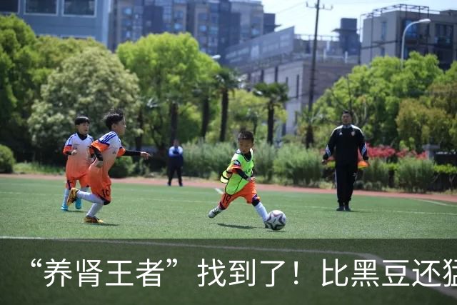 “养肾王者”找到了！比黑豆还猛，中老年常吃肾气足、腰不酸、精力旺
