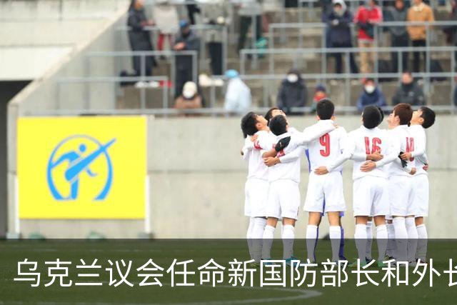 乌克兰议会任命新国防部长和外长